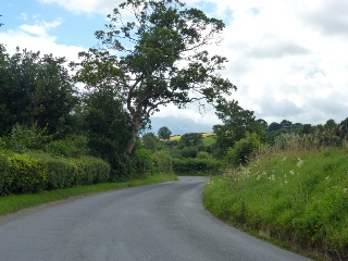 The road leaving Lingen. 