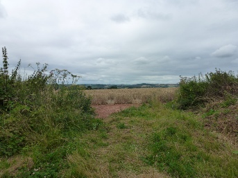 Countryside near Castle Frome.
